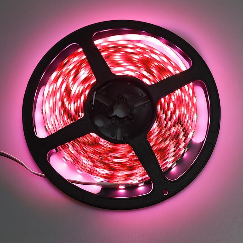 4in1 24V RGBW LED Strip 60LED Per Meter LED Multicolor Strip Light