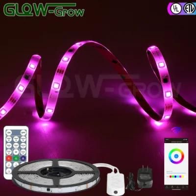 UL 5050 Dimmable Color Changing LED RGB Strip Light for Christmas Decor