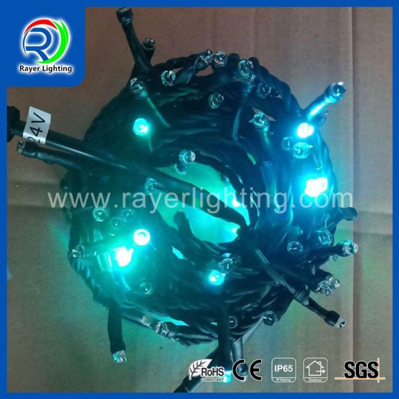 Outdoor LED Decoration Party RGB LED Pixel String Customize Ucs1903