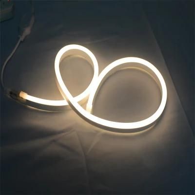 Shenzhen 220V High Voltage LED Strip IP65 Waterproof Neon Lights