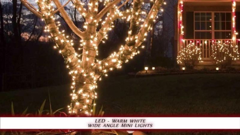 Outdoor LED Christmas Decoration C7 Bulbs