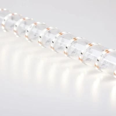 CE RoHS 2835 LED Strip 12V IP65 Waterproof Flexible LED Strip for Outdoor Decorative Lighting