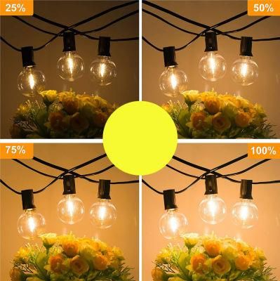 Outdoor Hanging Decorative LED Vintage String Lights