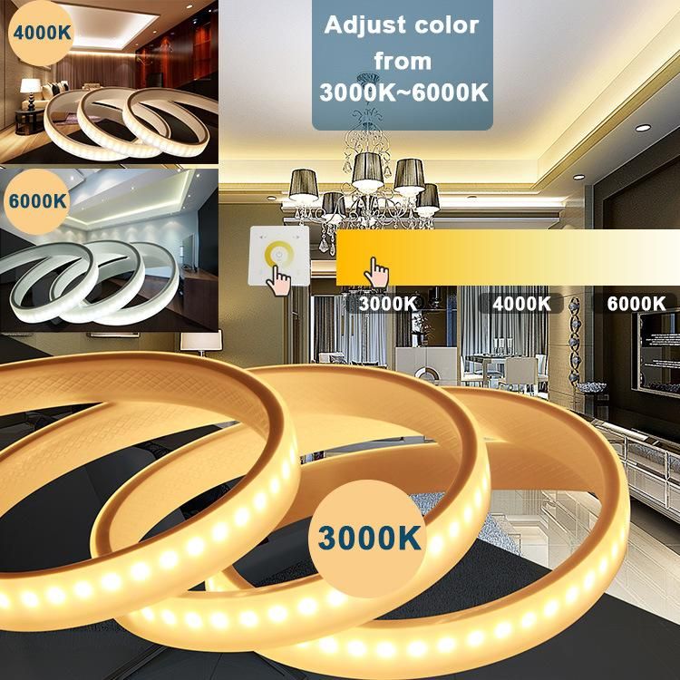 220V LED Strip Light LED Rope Light 20 Meters Pack Cchanged Color with Remote