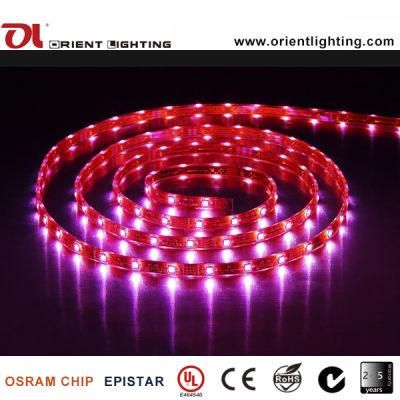 UL Ce 24VDC 30LEDs/M RGB SMD 5050 LED Flexible Strip Light