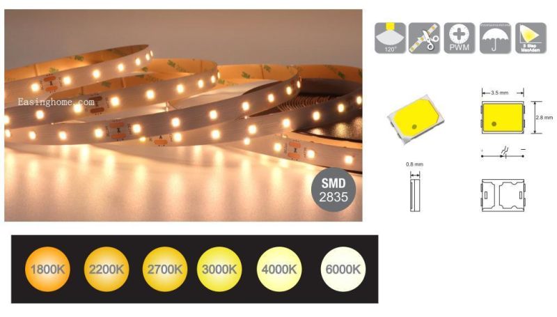50m 36V LED Strip Without Voltage Drop IC Built in LED Light Strip