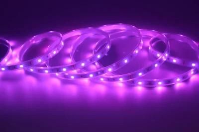 High Density Flexible SMD5050 LED Lamp RGB LED Strip Lighting for Decorative