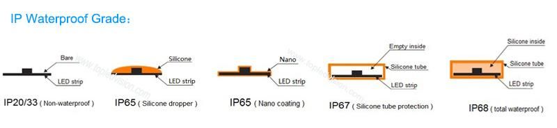 SMD 5050 RGB Changeable Neon Strip Waterproof IP20 LED Strip Light