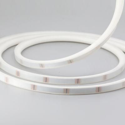 DC24V RGB LED Neon Strip Night Light for Decoration