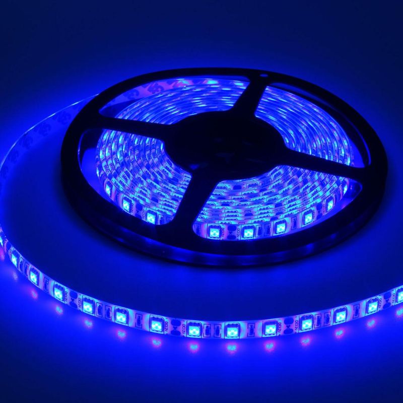 Wholesale 12V 5050 RGB Bluetooth Back Flexible LED Strip Lights for Outdoor Party Wedding Christmas Decoration