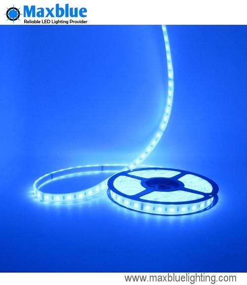 DC24V 60/72/84/96LEDs Per Meter 4-in-1 5050SMD RGBW LED Strip Light