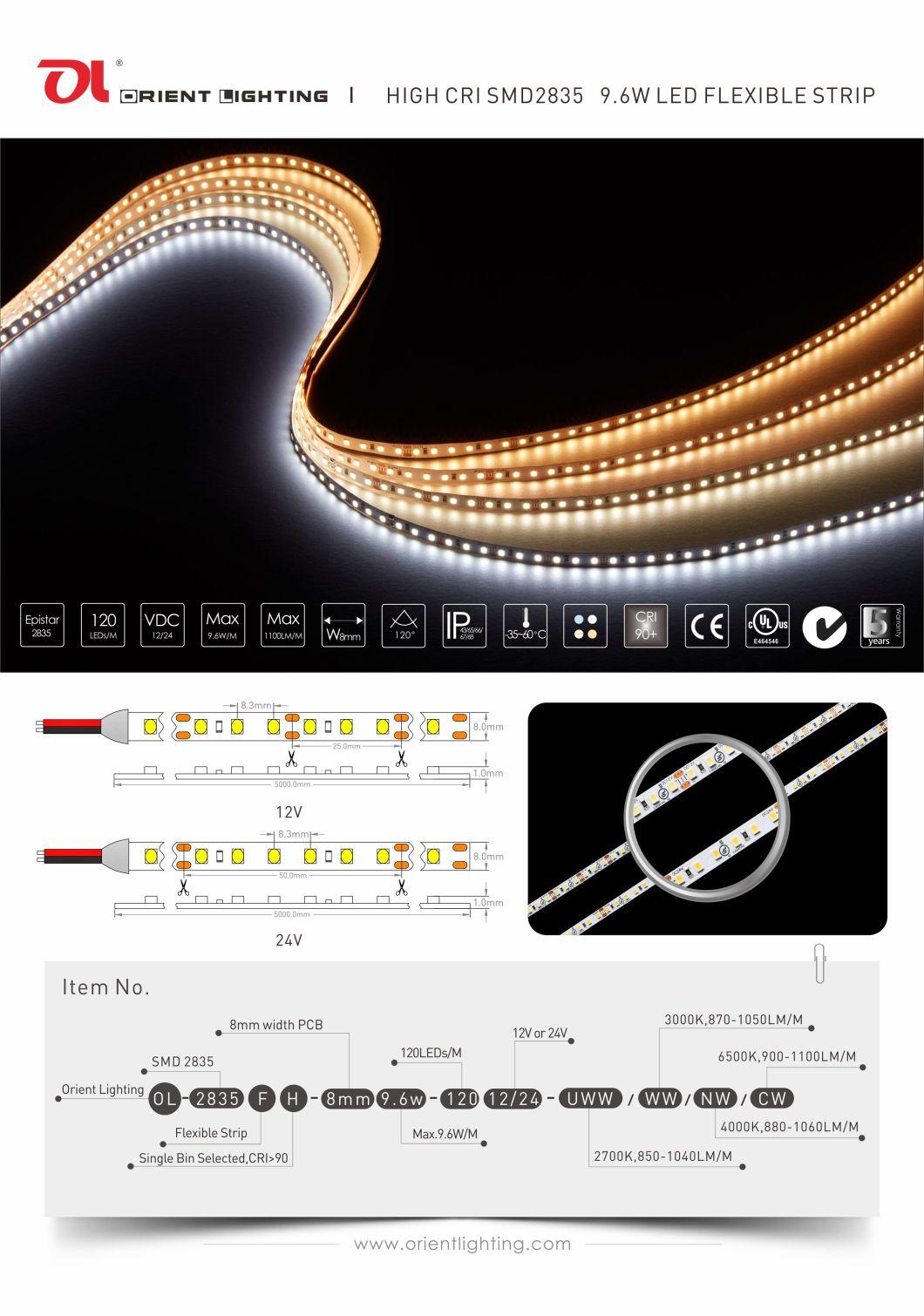 Waterproof LED Strip Lamp LED Chasing Lighting