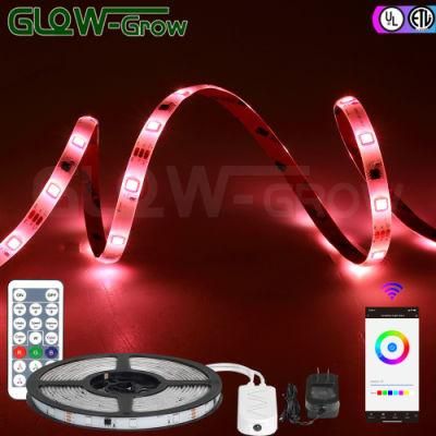 WiFi Color Changing Music Sync Mood RGB LED Strip Light with Timer Function
