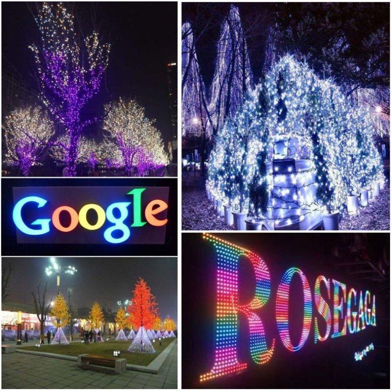 Christmas Outdoor Waterproof Rainbow Color DC 5V 12V 12mm Ws2811 Ws2812 Black RGB Addressable LED Pixel Module LED String Light