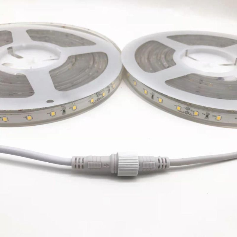 High Brightbess Decoration Light Flexible COB LED Strip for Lighting