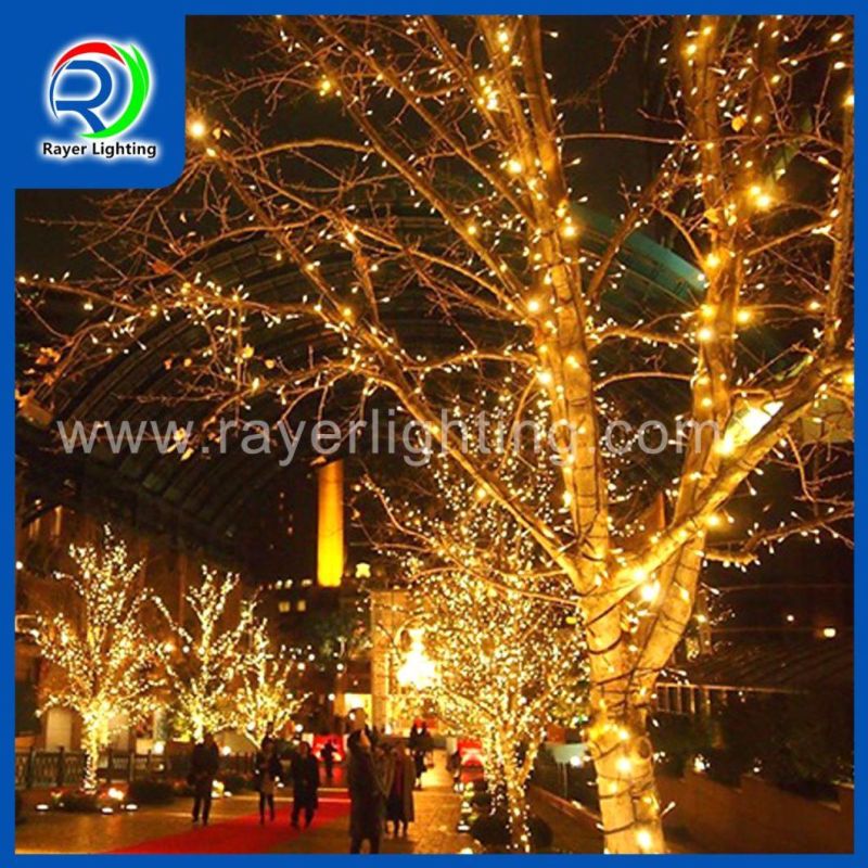 Synchro RGB Color Changing Christmas String Lights