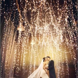 Christmas Decoration Different Length LED Waterfall Lights/Curtain Light