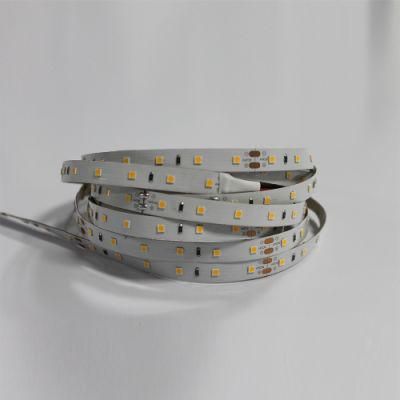 Wholesale Nichia SMD3030 60LED/M LED Strip Light with High Lumen