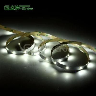 Wholesale 5m ETL Listed 12V CCT LED Strip Light for Cabinet Lighting