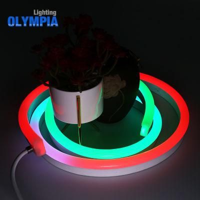 8 Pixels/M Addressable RGB 24V DMX512 LED Strip Light