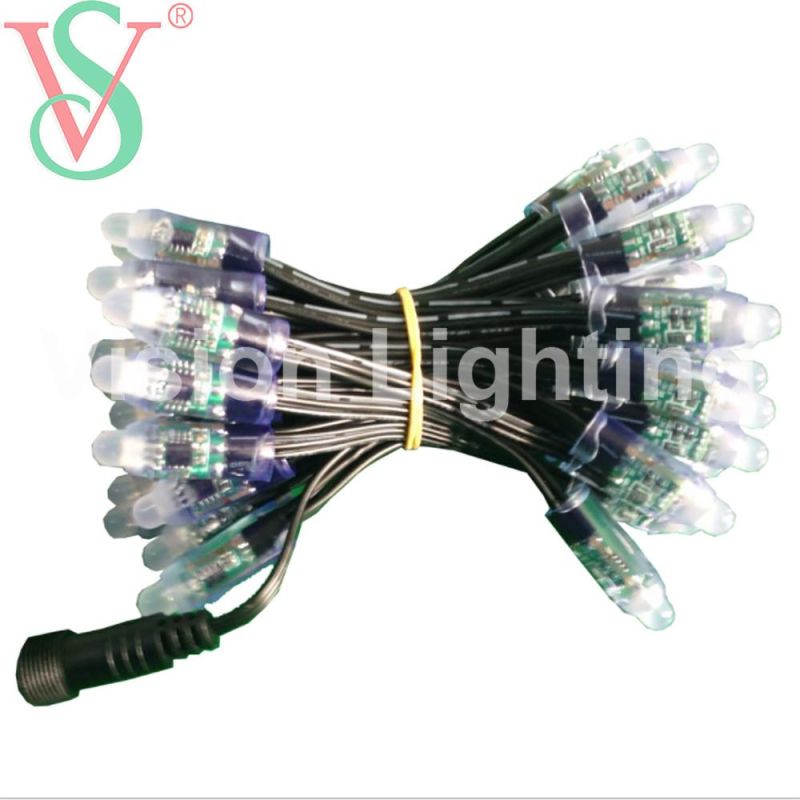 12V Ws2811 Addressable Christmas Decoration String LED Module Pixel Light