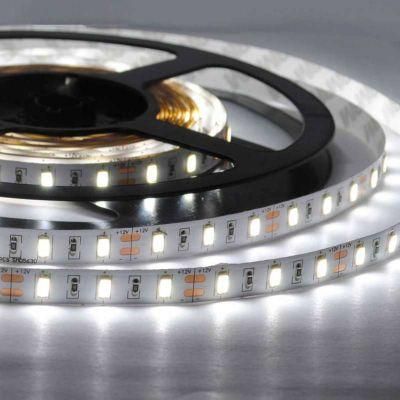 DC24V 8mm Width 50mm Cut LED Flexible Rope Light Strip