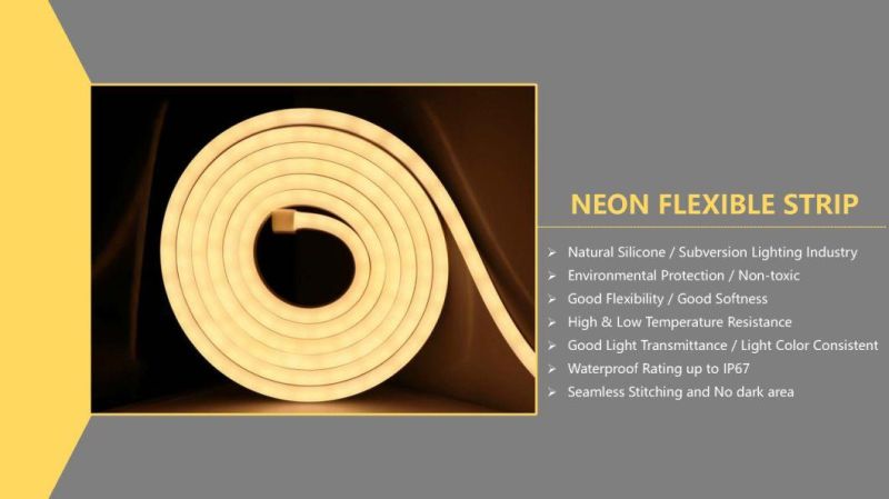 Wholesale Outdoor IP65 IP68 Flexible SMD 2835 RGB with Remoter Waterproof Neon Flex LED Strip Light