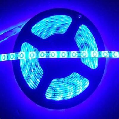 Flexible 5730 LED Light/Lighting Decoration LED Strip Light DC12/24V