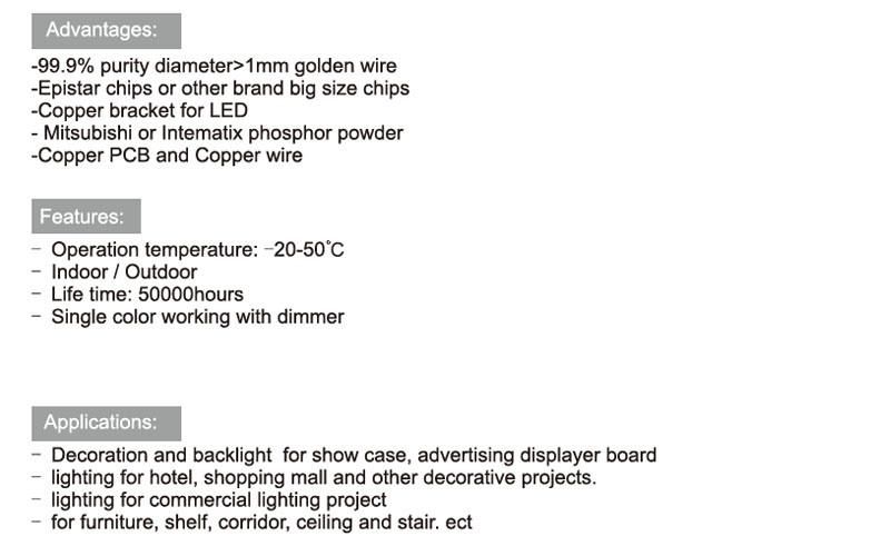 3838SMD 24V LED Strip with 240 LED Light for Flexible RGB LED Rope PCB