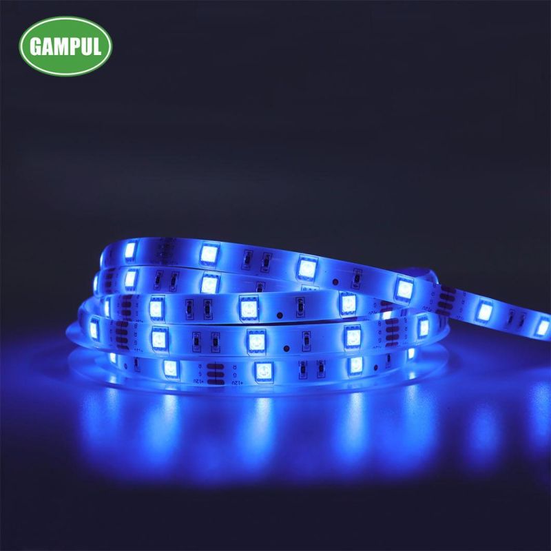 Smart Multicolor Flexible WiFi LED Neon Light for Decorations