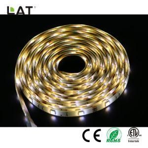 Double CCT SMD5025 5m Ww and Cw 30/60/120LEDs Flexible LED Strip Light