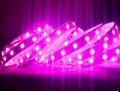 5050/3528 60LEDs/M 660nm Pink Color LED Strip Light