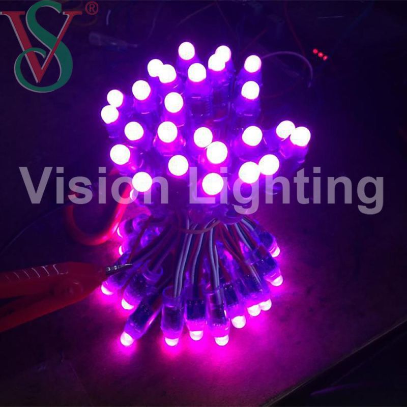 12V Ws2811 Addressable Christmas Decoration String LED Module Pixel Light