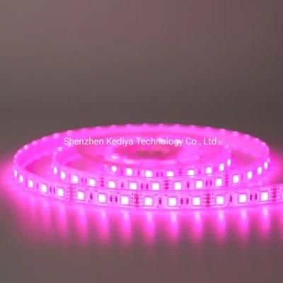 SMD LED Underwater Silica Gel Extrusion Waterproof IP68 Rope Flexible Ribbon Tape Strip Light