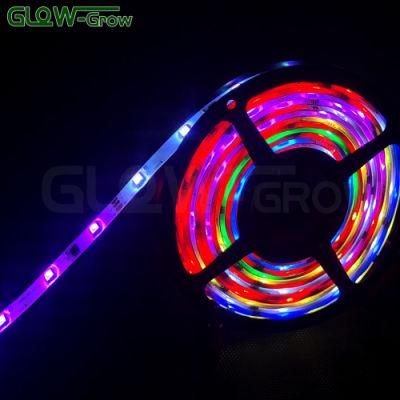 Project Use manufacturer Wholesale Color Changing LED Strip Light with RGB White Colors