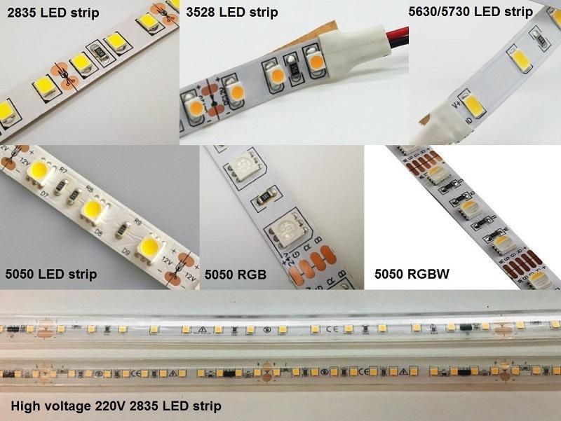 3years Warranty Epistar SMD5050 LED Strip 300LEDs 72W 5m/Roll