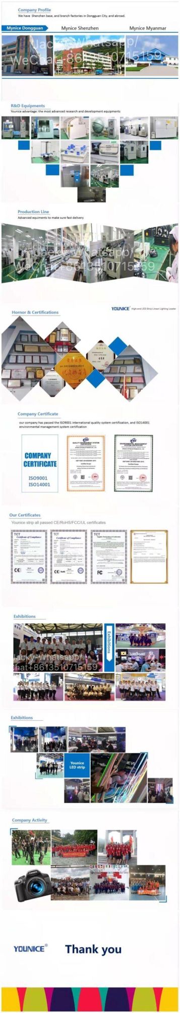 SMD 2835 5 Yrs Warranty with CE/RoHS Certificate LED Strip Light