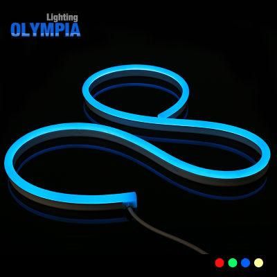 5050 RGB IP68 Waterproof Neon Strip LED Light