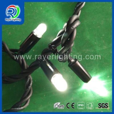 IP65 Christmas Light Garden Decoration Chain Light Rubber Wire LED with Cap and Insert Glue