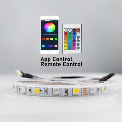DC12V Colorful Smart Strip Light with Remote Control