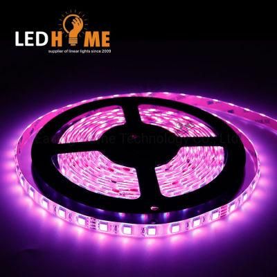 Five Color LED Light Strip Lighting CRI80/90 DC24V Strip