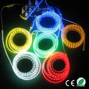 IP 67 Waterproof 5050 SMD LED Strip Light LED Products