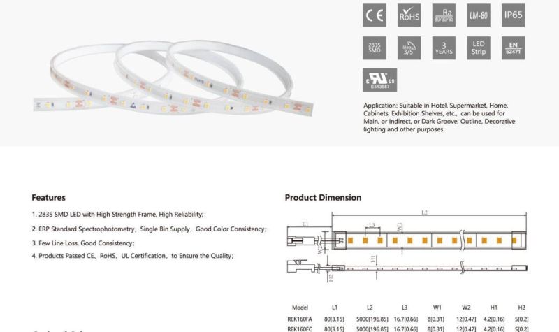TUV-CE, UL Approved IP65 Waterproof LED Strips for LED Lighting