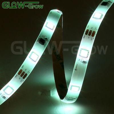 5050 ETL Listed Wedding Use RGB Smart LED Strip Light with Remote, Alexa Google Home Compatible