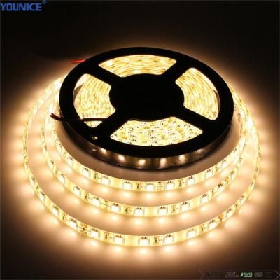 DC24V SMD3528 Size 5mm Width 50mm Cut LED Flexible Tape Strip