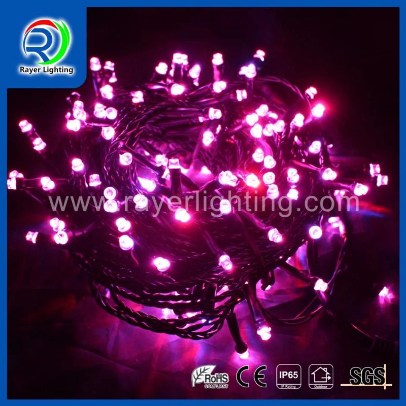 Christmas Holiday Light LED String 12V LED Decorative Outdoor Lighting
