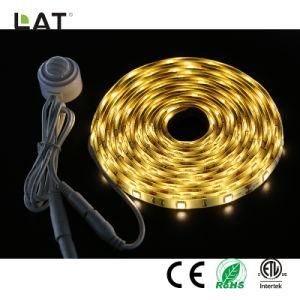 SMD5050 1m Ww/Cw 30/60/120LEDs Flexible LED Strip Light with Sensor Can Adjust 30s to 10min