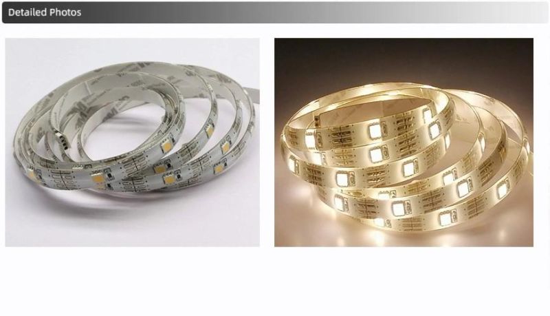 OEM/ODM Wholesale Kit Pack 5050 Single Color Decoration Light Flexible LED Strip