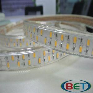Outdoor 110V LED Strip Light SMD5630 50-55lm/LED Double Line 120LED/M
