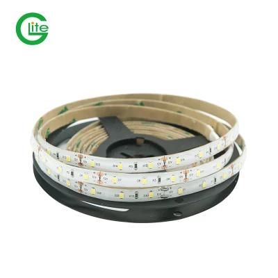 High Brightness LED Light 60LED LED Strip DC24 Trip Light for Decoration